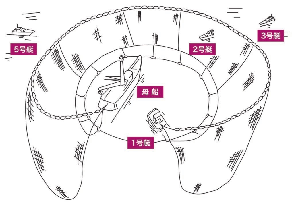 まき網漁