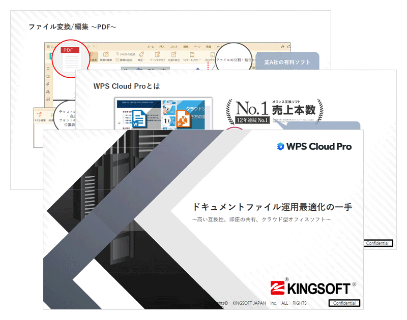 WPS Cloud Pro