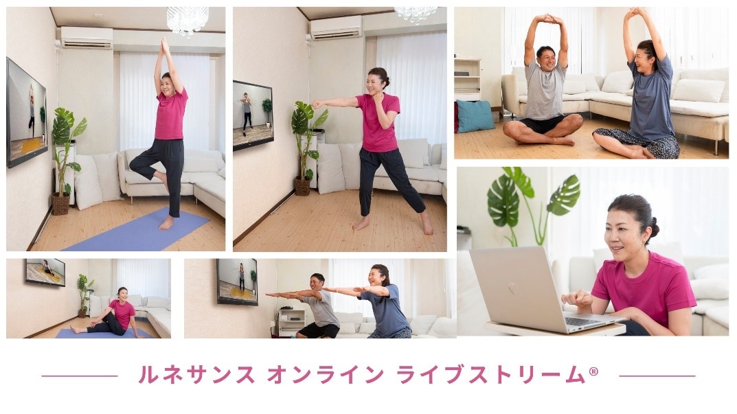 ROL特保