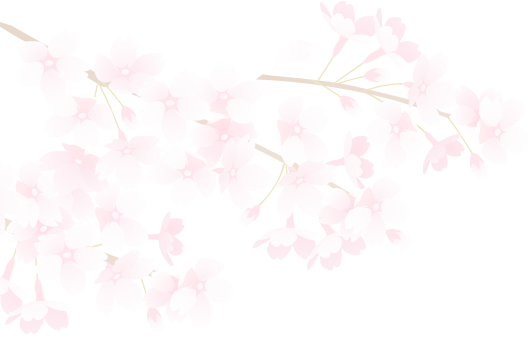 桜のイラスト