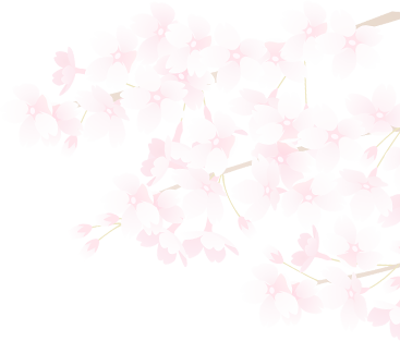 桜のイラスト