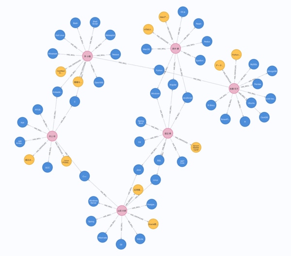 エンジニア6人分のデータ。複数のエンジニアが同じスキルを持っている場合、矢印が一つのスキルノードに集約される