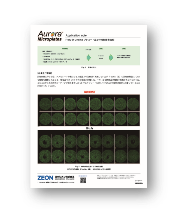 aurora-app006