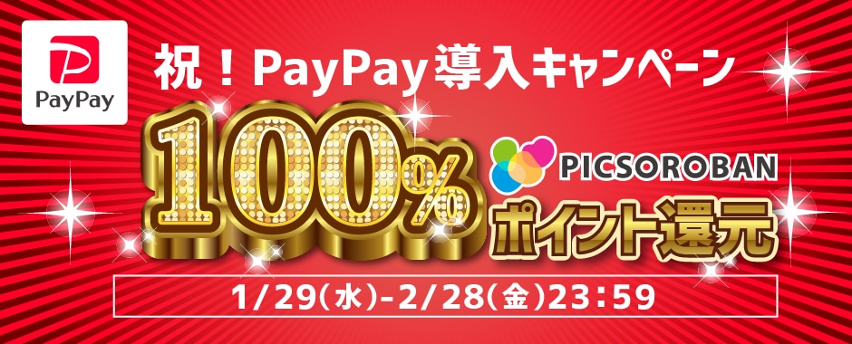 paypay導入キャンペーン