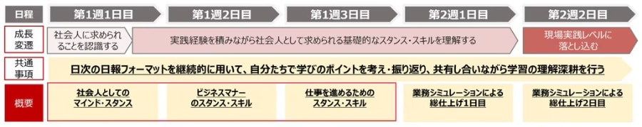 ▼2023年度新入社員研修の全体像　※全2週間の一部を抜粋