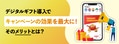 next-article-image