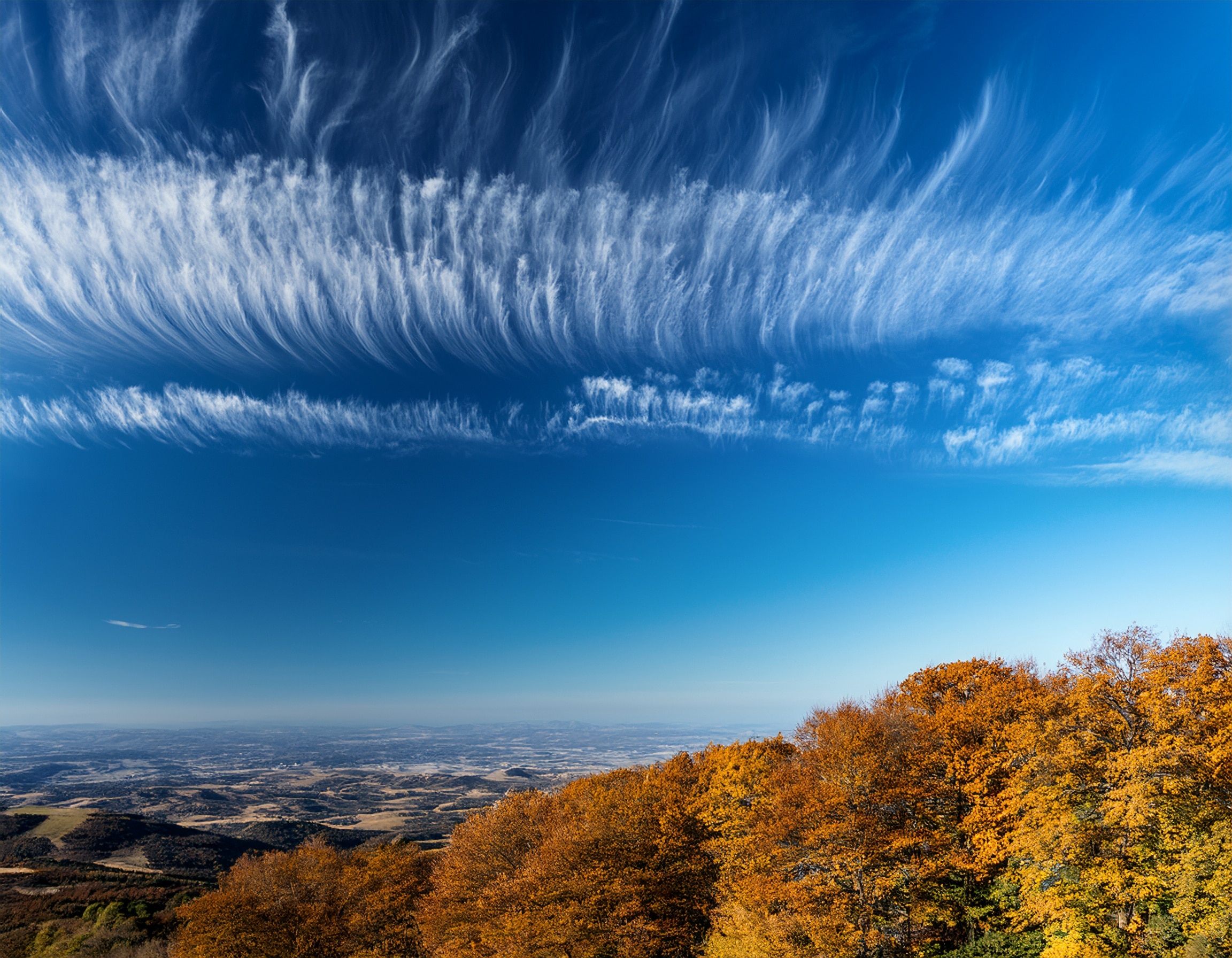 ブログ│秋の高い空の画像