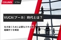 prev-article-image