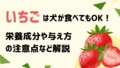 next-article-image