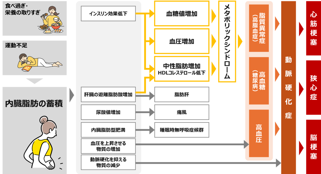 特定健診・特定保健指導における、メタボリックシンドロームとは何かを説明したフローチャート