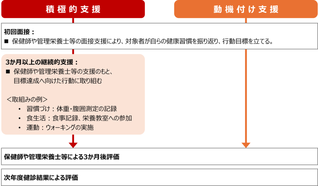 特定健診・特定保健指導における、積極的支援と動機づけ支援の、各支援の流れ