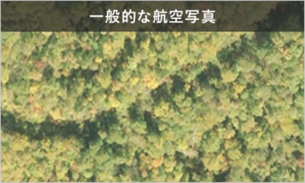 一般的な航空写真_ 風車ブレード輸送ルートコンサル事業