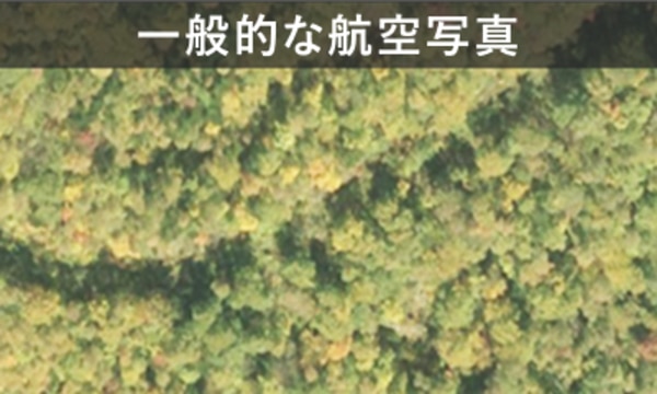 一般的な航空写真_SP_ 風車ブレード輸送ルートコンサル事業