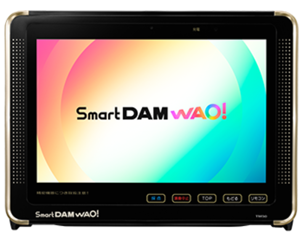 DAM カラオケ機器用 ボイスアダプター DAM-VA200 第一興商 カラオケ 第一興