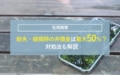 next-article-image