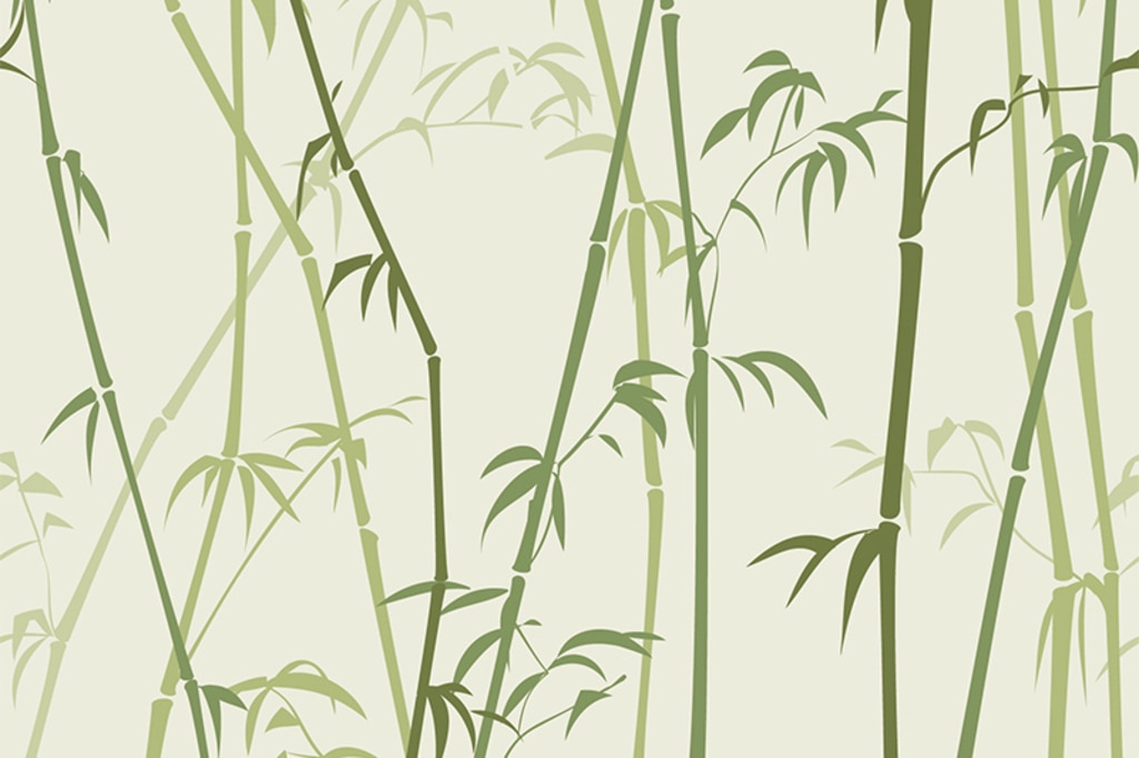 落ち着きのある竹のイラスト