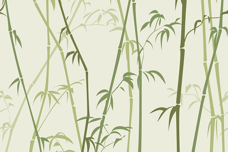 落ち着きのある竹のイラスト