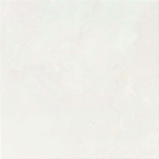 ホワイトバーチ_02