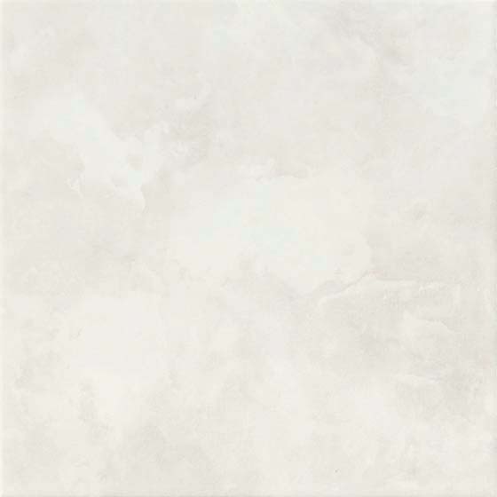 ホワイトバーチ_03