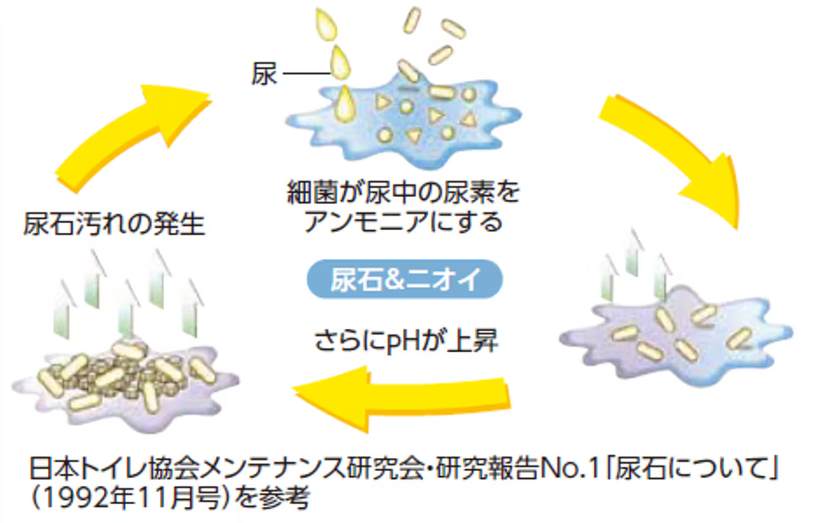 next-article-image