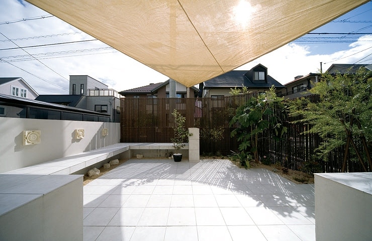 ホワイトバーチ_01