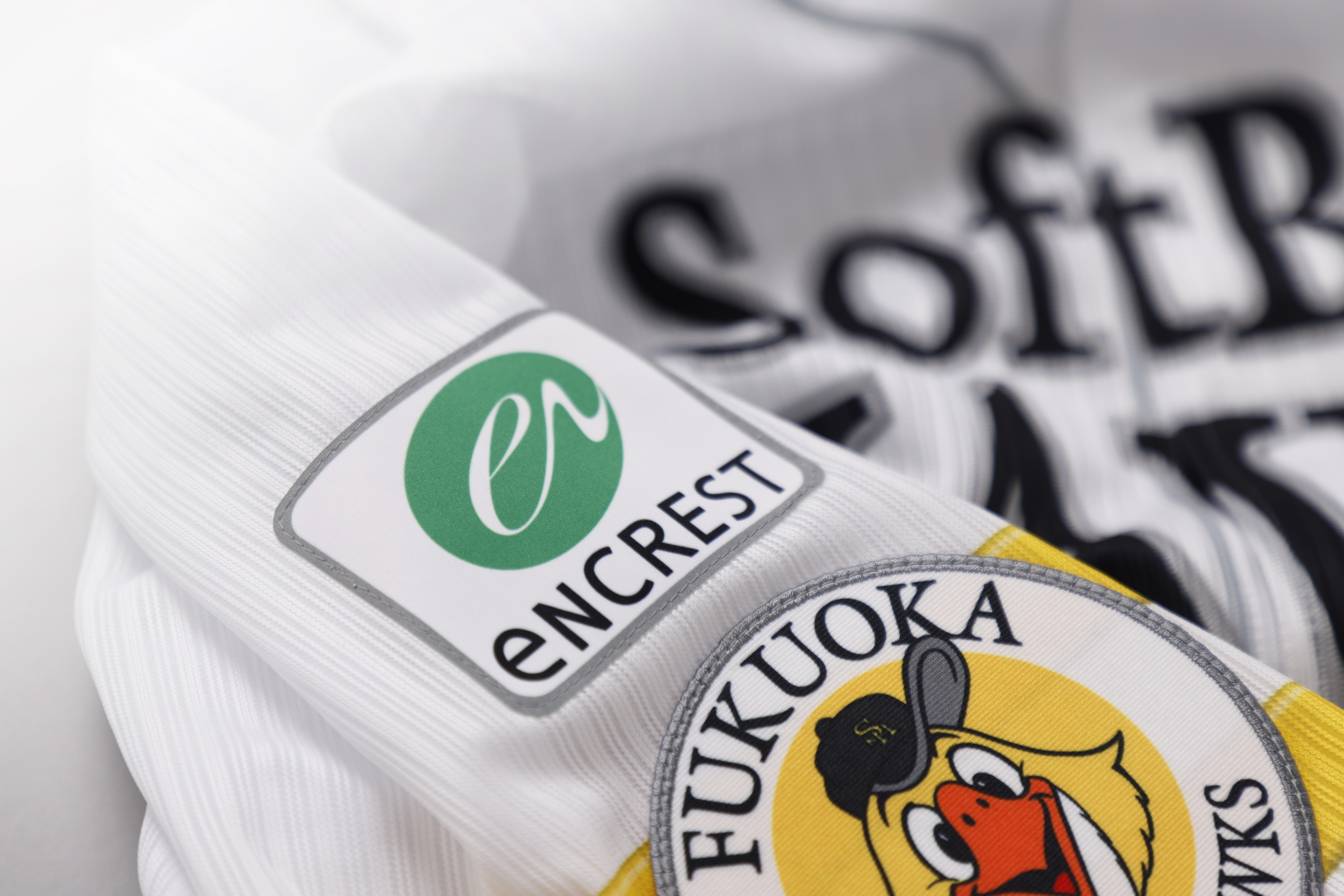 株式会社えんホールディングス