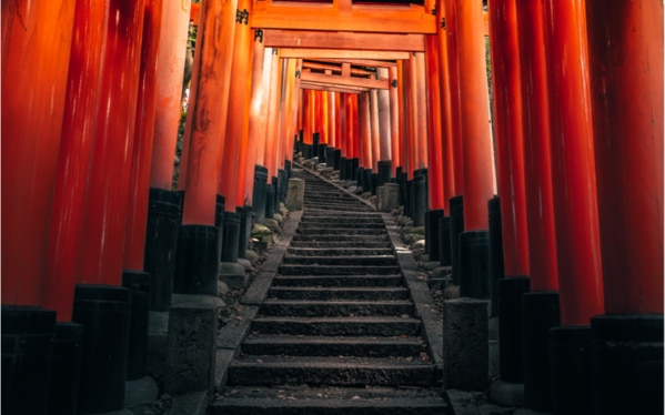 観光