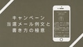 prev-article-image