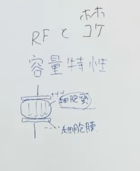 容量特性