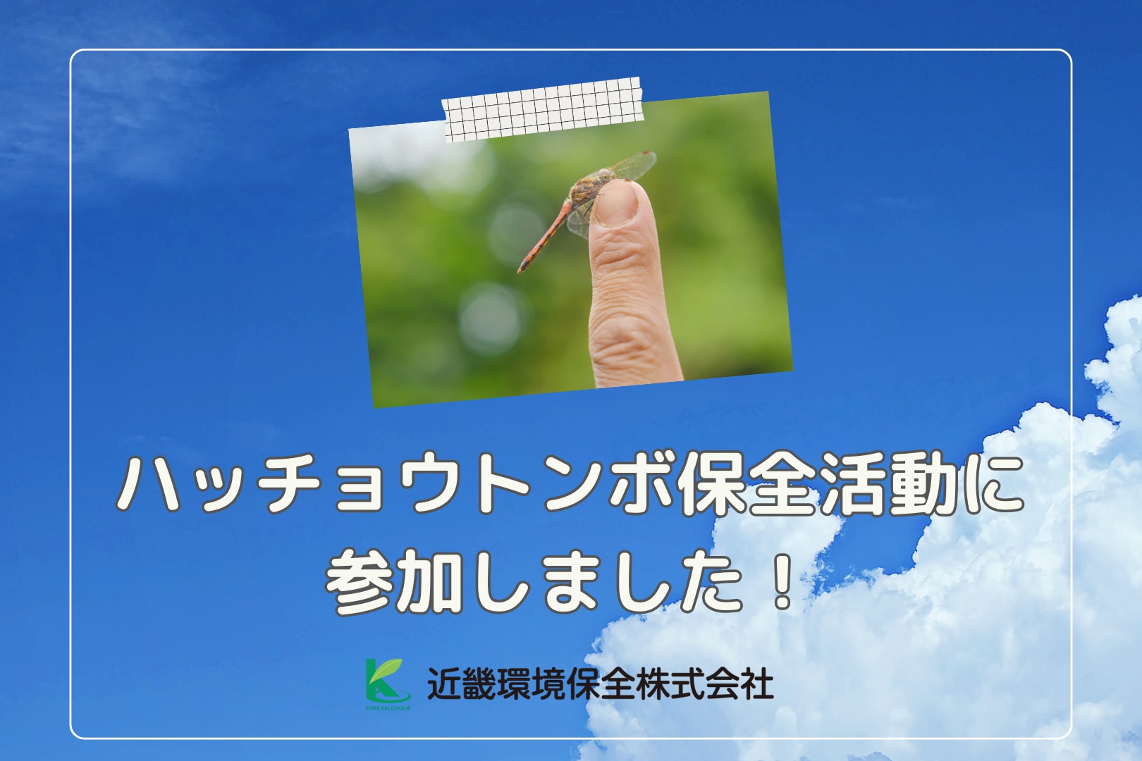ハッチョウトンボ保全活動