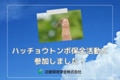 next-article-image