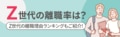 next-article-image