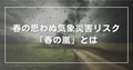 prev-article-image