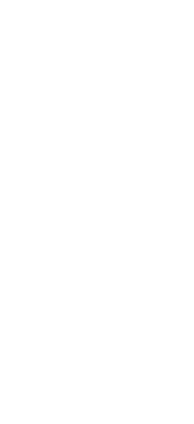 1965ダイバーズ デザイン