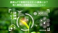 next-article-image