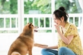 prev-article-image