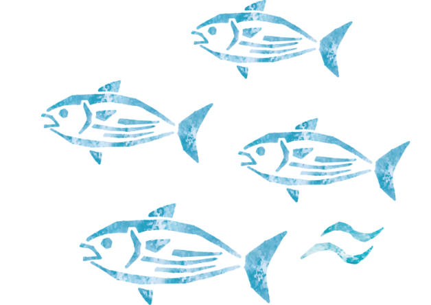 img_mv_fish_02