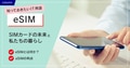 prev-article-image