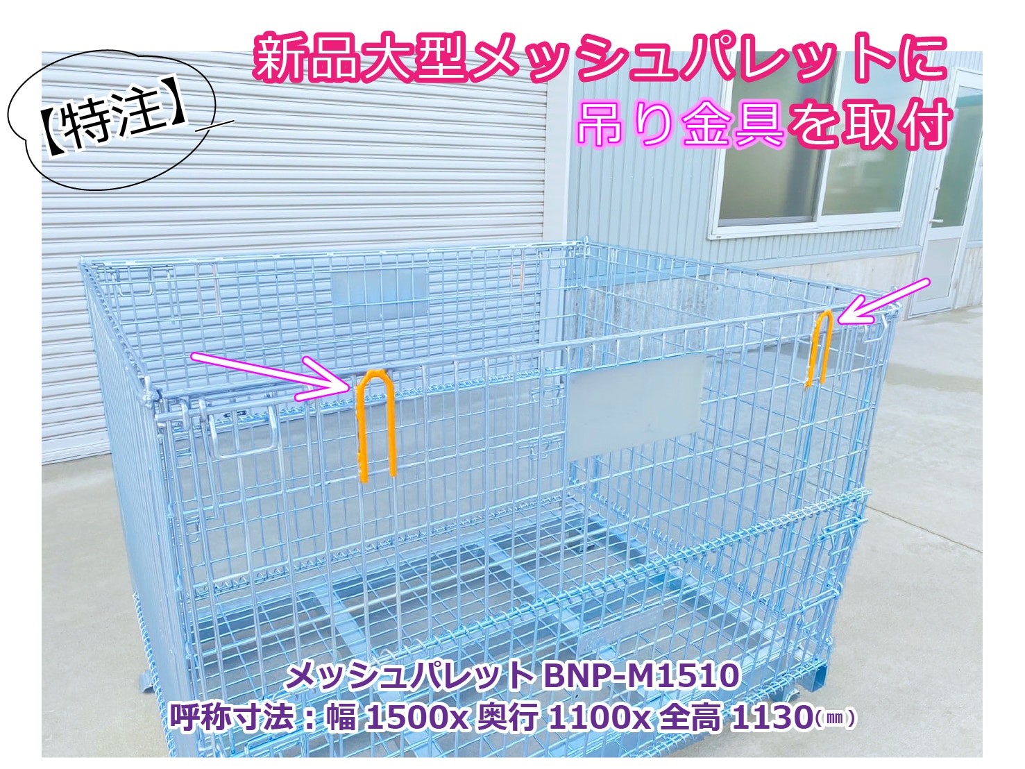 catch-img