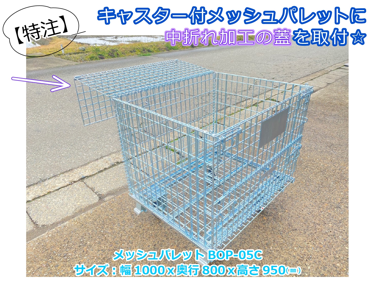 catch-img