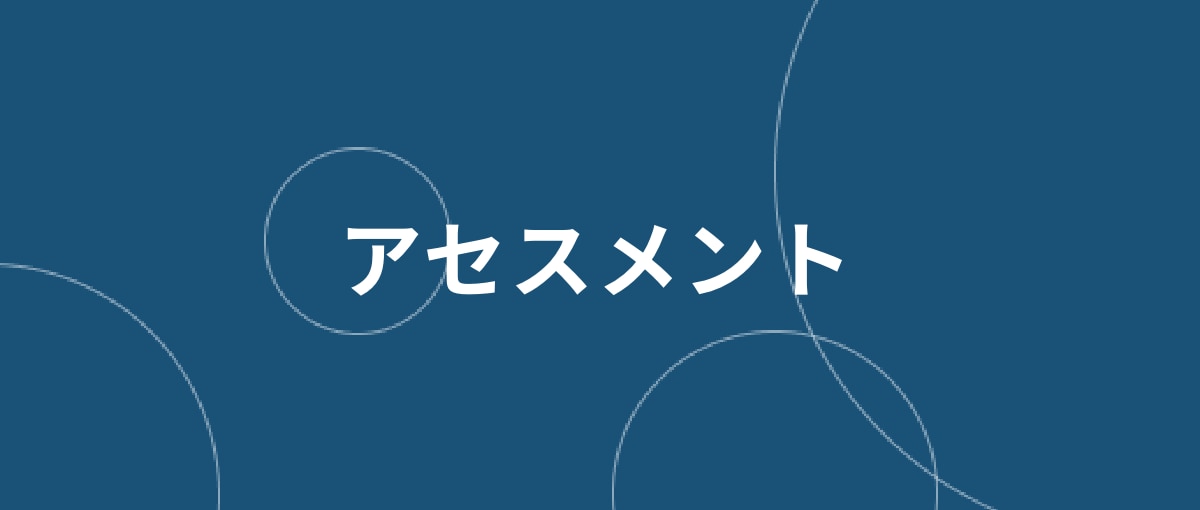 アセスメント