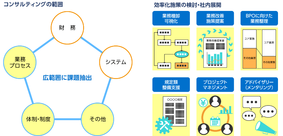左図：コンサルティングの範囲 右図：効率化対策の検討・社内展開
