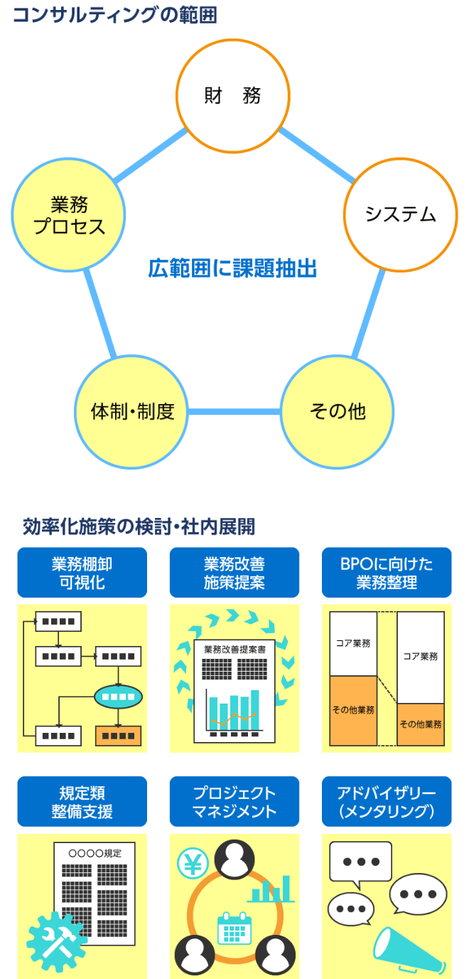 左図：コンサルティングの範囲 右図：効率化対策の検討・社内展開