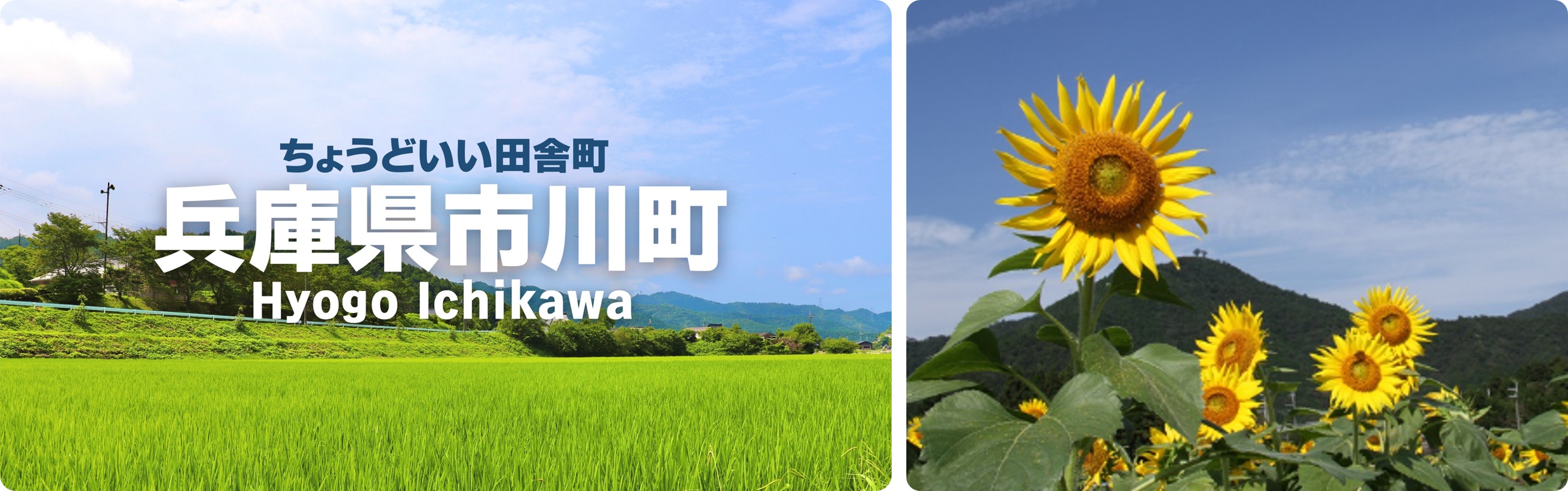 兵庫県市川町が、 バリューデザインの現地決済型ふるさと納税サービス「ふるまちPay」を導入