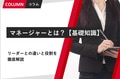 prev-article-image