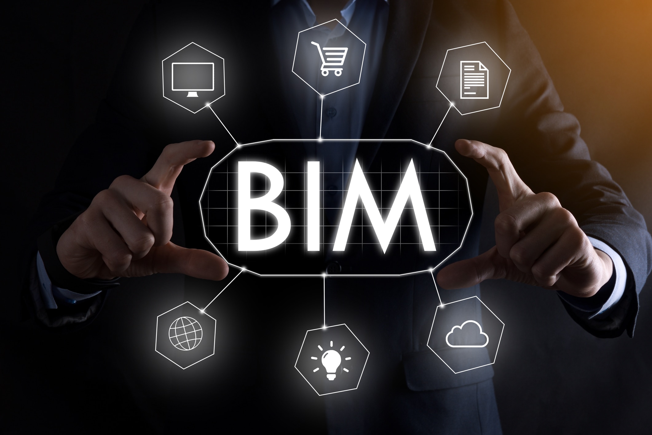 BIM