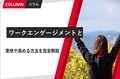 next-article-image