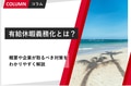 next-article-image