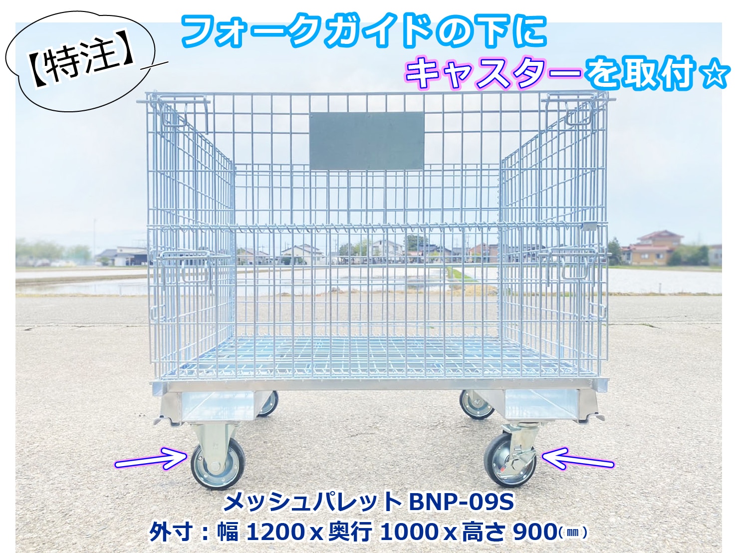 catch-img