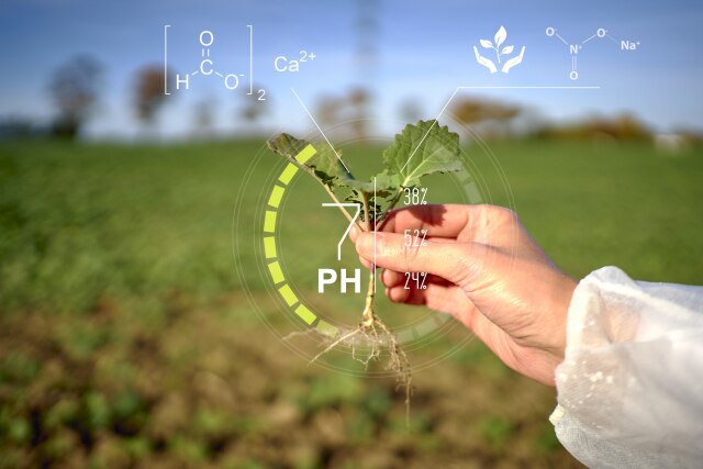 Smart Farming with Data